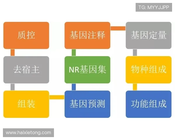 尊龙注册中心：多平台注册支持与账号管理的便捷操作技巧