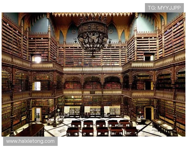 Z6D88注册账号后如何进行实名认证与资料完善