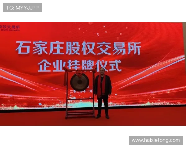 凯时首页入口：如何通过官方入口安全顺畅地进入凯时首页