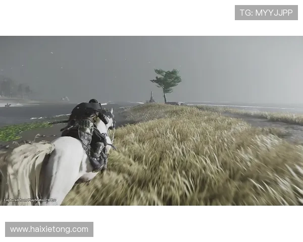 开云体育登录娱乐平台最新版本上线，优化用户体验，提升登录便捷性和安全性