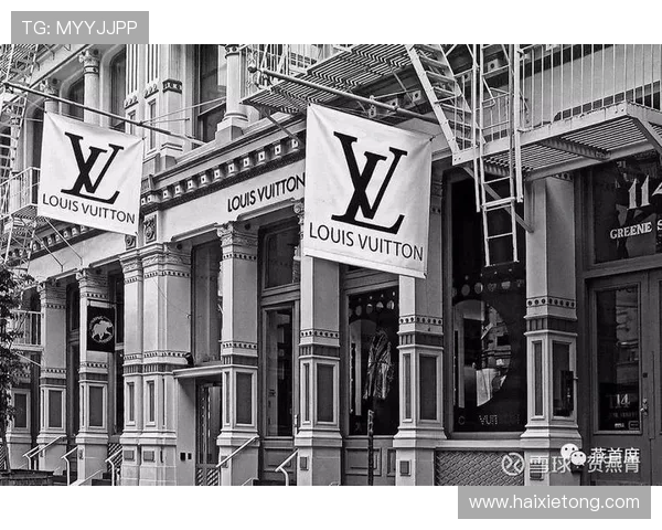 开云官网国际入口：如何快速进入全球时尚奢侈品官方平台