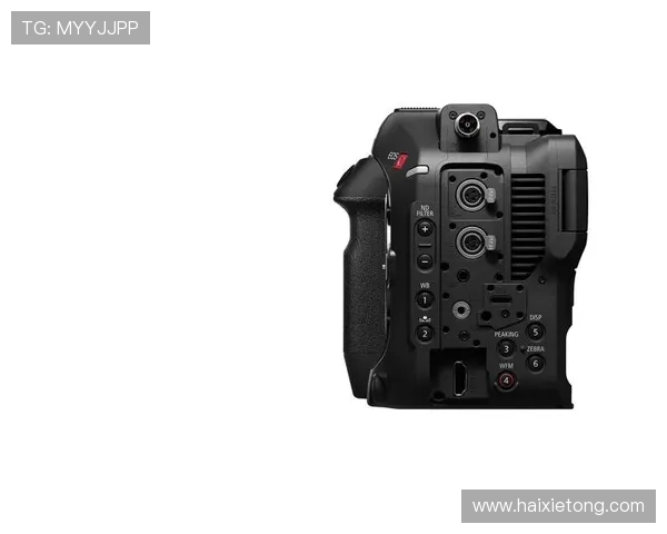 尊龙z6旗舰厅客户端：全面提升您的线上博彩体验与安全保障