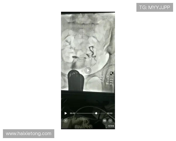 尊龙平台地址官方入口常见问题解答，帮助用户快速解决疑问