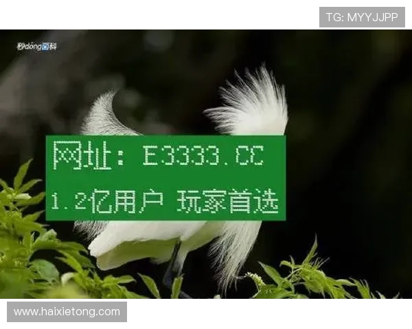 凯时官网网址官方入口导航，快速找到最稳定的登录通道