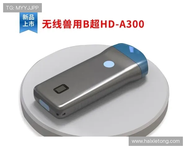 尊龙凯时下载操作指南详解，帮助新手快速上手游戏流程